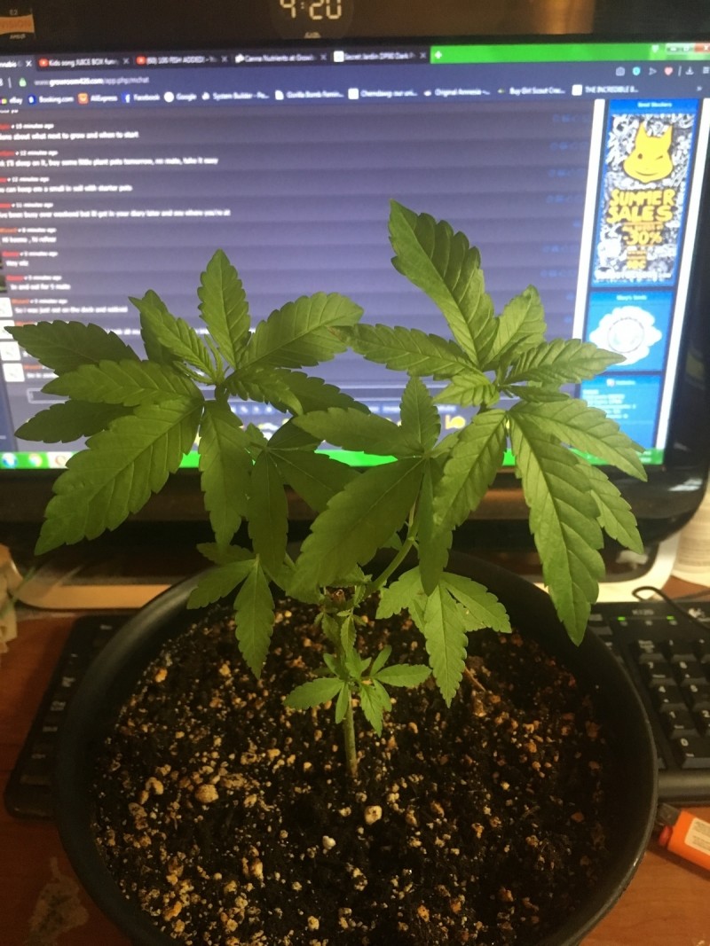 AE8373C3-ECE7-4DC1-8E6D-A8028D30C0D0