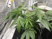 F9F2CD9E-5495-4A5F-8474-7926BD983110