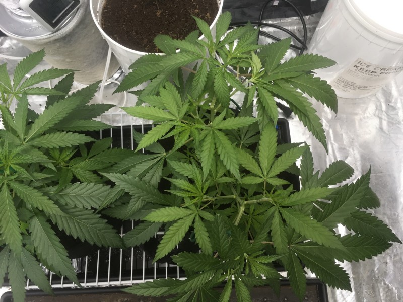 7A2EC39A-EE16-4BDB-BD58-E9ED09AF7E77