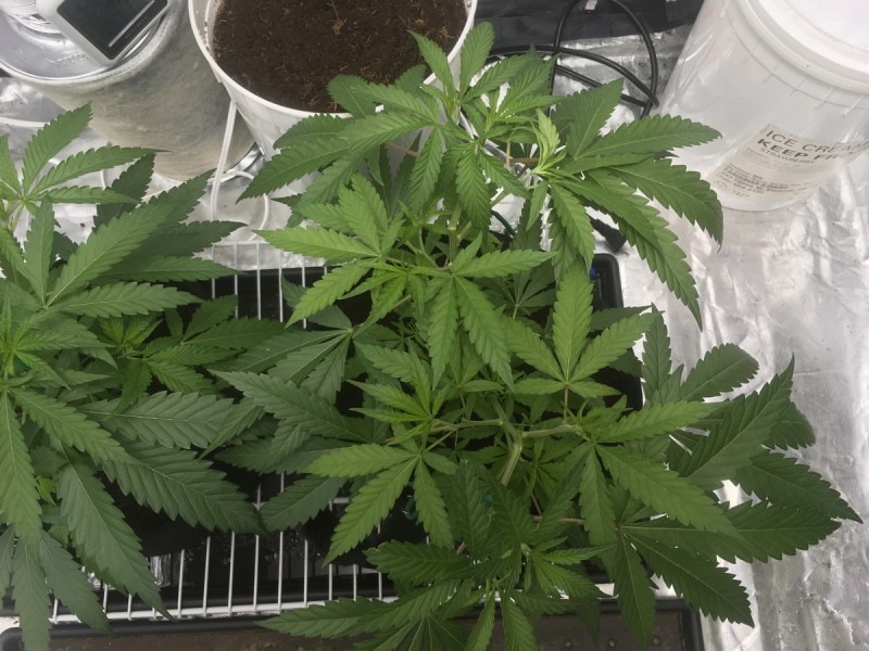 7E7C9499-8441-4FE9-A479-0228237C3341