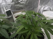 9F037E4D-7834-401B-A76B-93152249A043