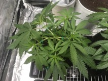 5428364B-FF5C-4322-AEE6-DF89E78C12BF