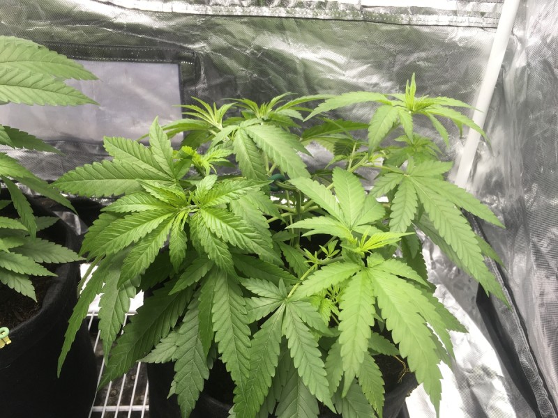 E4A283B0-A193-4180-AC0F-0E6D021F6D14