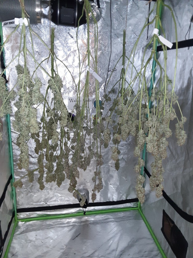 20231204_072842 - Copy