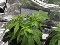 0D65F6D7-C7D4-4C82-94D8-2DA6185314C2