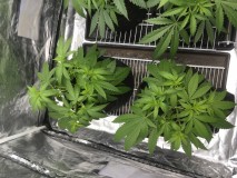 6A3C1D36-164D-4DEF-B3A8-F83CEA577ECC