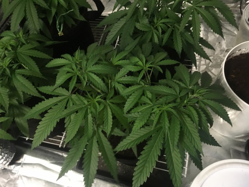 0E05E388-114F-4AD2-A311-AA7556A5A2ED