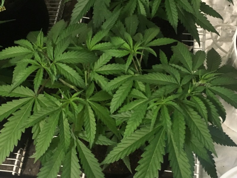 6DD41E40-8041-480B-80CA-1E2FC4F5EEFF