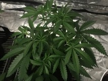 FEFC0EF7-FA56-430D-933D-A58704962A95