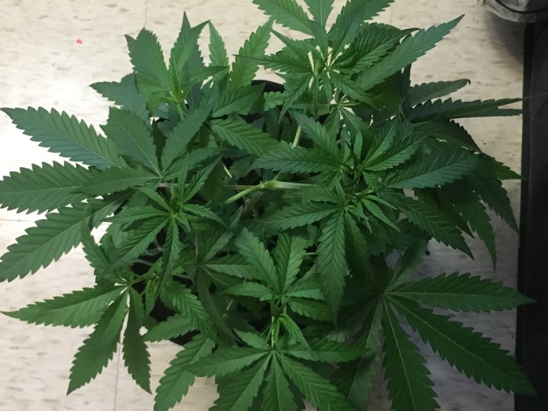 2E8F23C1-1740-4717-B658-1EF86A2464B0