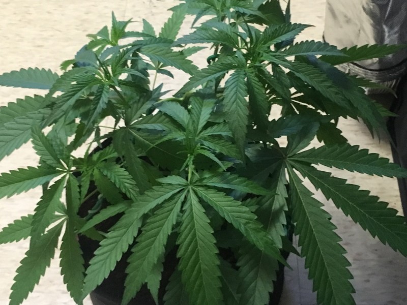 709D52AF-E0BB-41AD-8FD1-2BEE46E53BEA