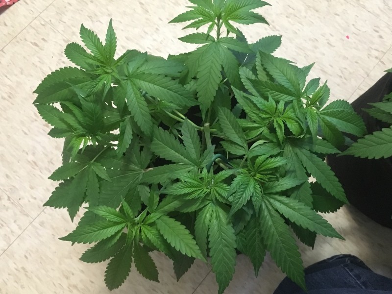 9195E691-F995-4DFD-B657-3740434FCB3D