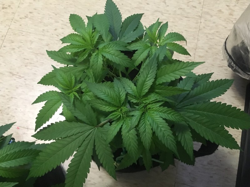 8DA58827-2DED-43B1-9865-14427599634F