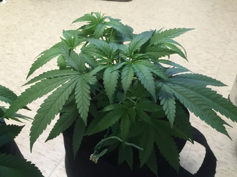 77E8D578-3CDF-49FB-9CC3-249F2362C3E4