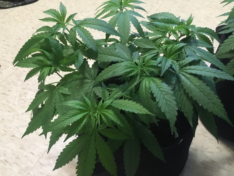 5F2AFEBA-5D4A-43C5-8E29-CA4BD3A85739