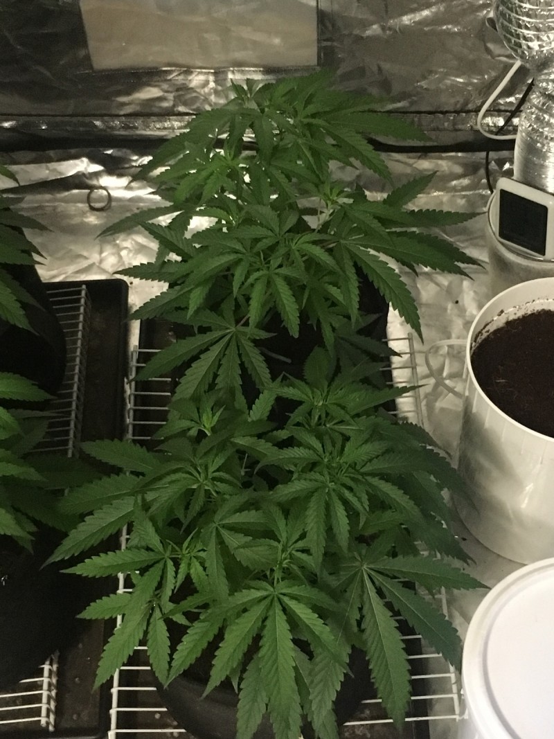 868074A5-4896-4E39-B020-B6A0EE2802FB