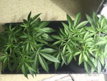 9EE3B4FA-72CD-4137-A510-A8EB48AB93C7