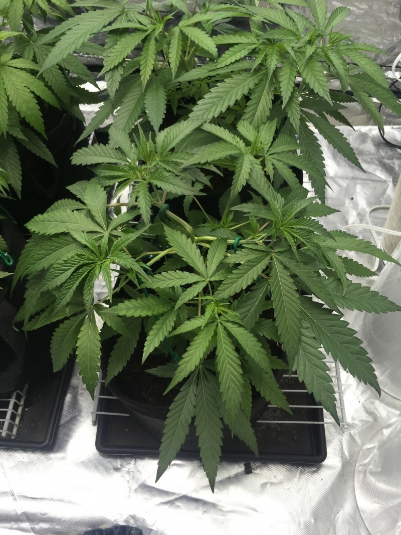 BB6C9592-4215-4F3E-9EB4-9B3584705D9C