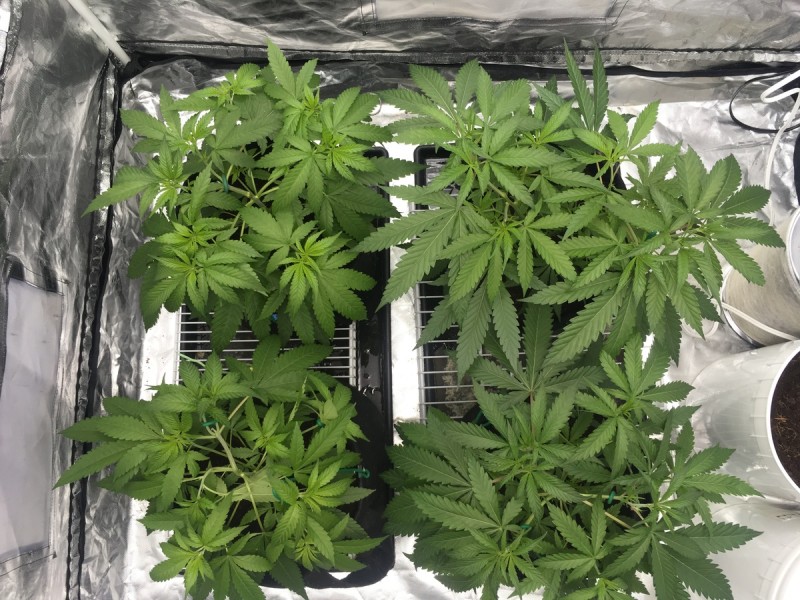 713D8D53-0F4E-4344-9926-A2A7312081E3