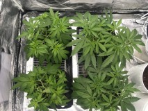 713D8D53-0F4E-4344-9926-A2A7312081E3