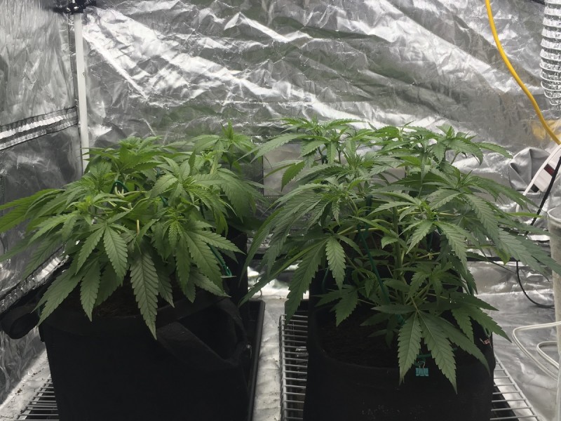 75D3FC67-705F-4B37-963E-E51E30F18C85