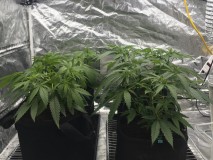 75D3FC67-705F-4B37-963E-E51E30F18C85