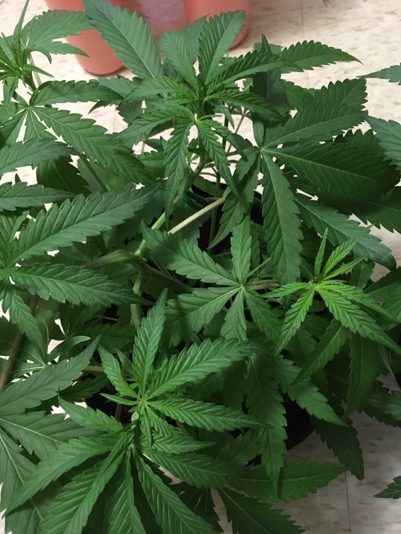 12598F38-1D09-47C9-A059-2D8ED723D4B1