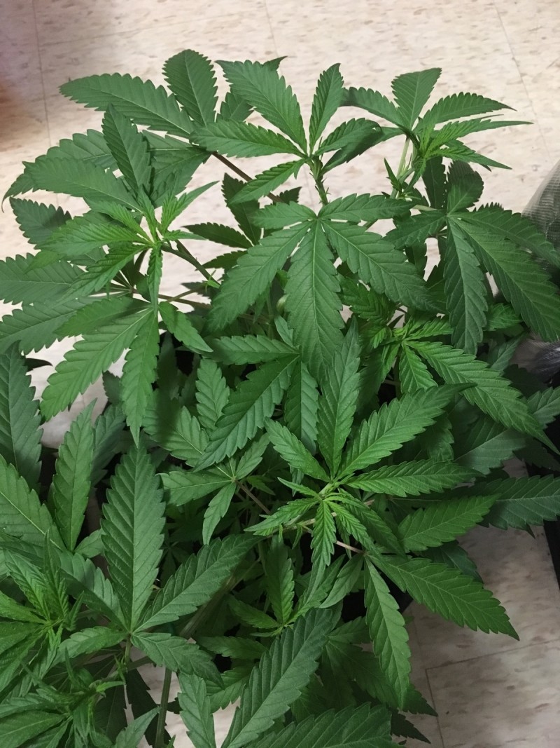 731C5D0E-E4C3-4C06-B70F-BA8F47584B39