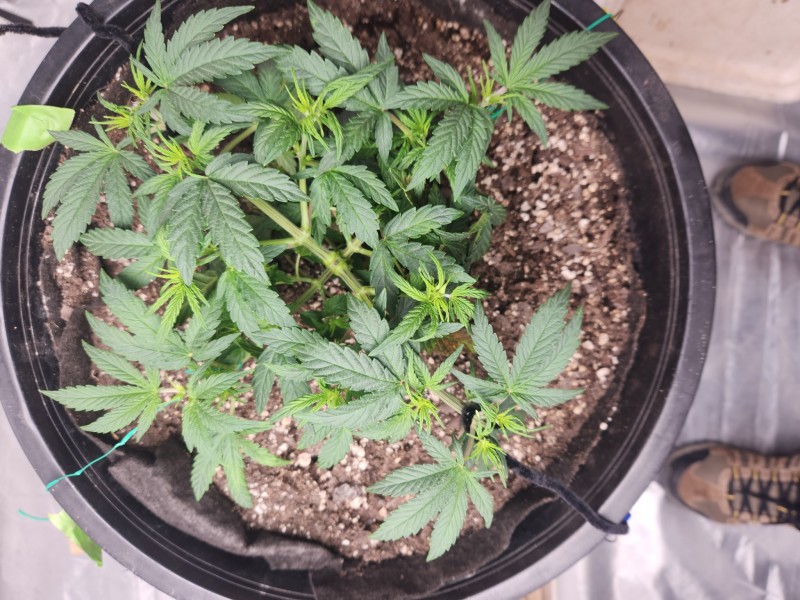 17043201716808656474149130730777