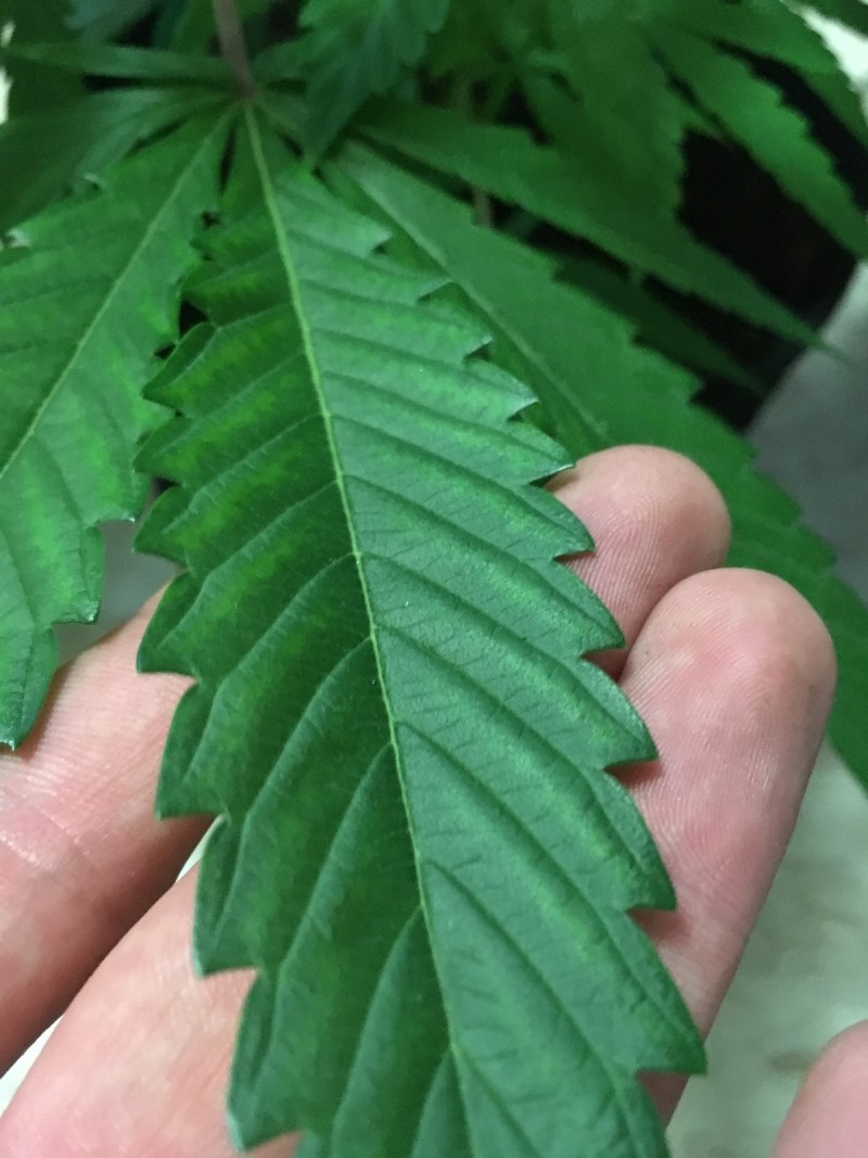 BE6556A0-D228-4028-B246-590A94327FE7