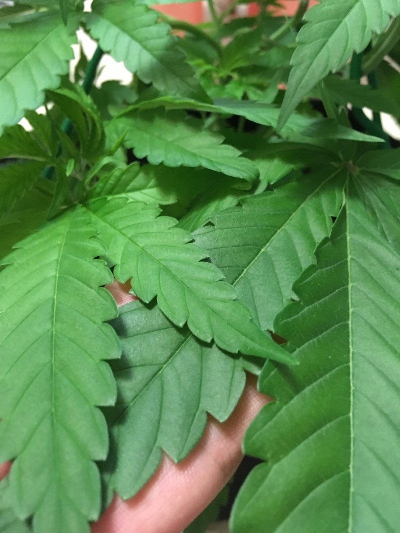 0DF8D5A7-F7FD-40E2-AC61-AB23F5C2E9F6