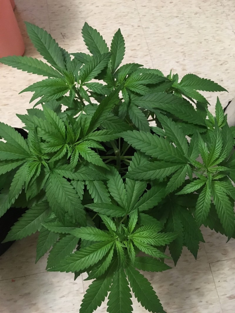 8157124B-5F5F-4C93-9406-489673639F1A