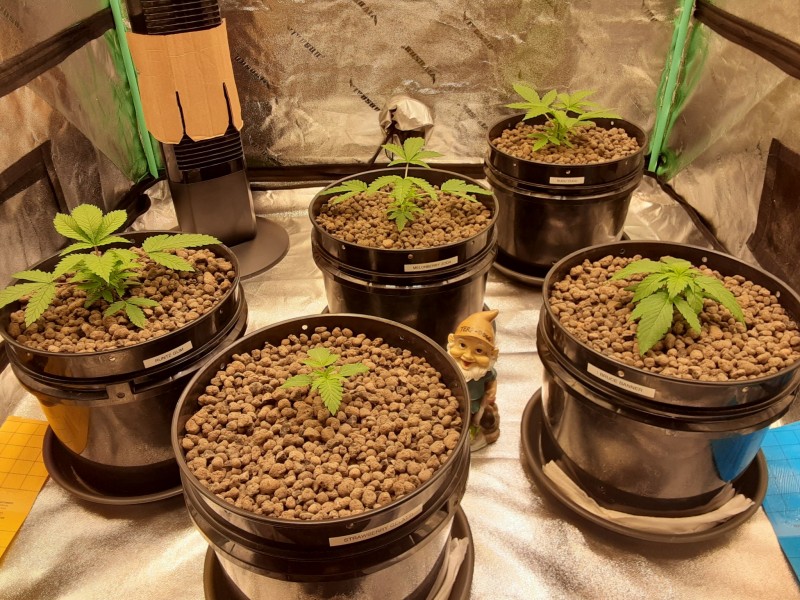 20240111_072903 - Copy