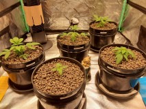 20240111_072903 - Copy