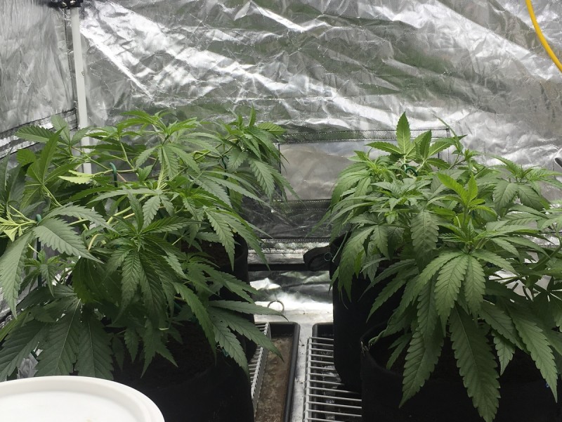 F1DB8C10-D15B-4459-AD55-0C9C928D0043