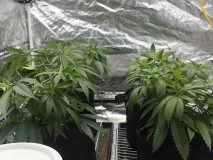 F1DB8C10-D15B-4459-AD55-0C9C928D0043