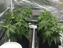 5125BA9B-AF46-4DED-BA23-BF84F70D227F