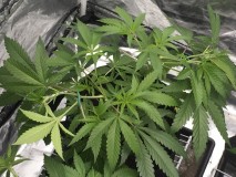 842F9EC6-0A91-47E2-9DE5-6EC74BE4B97D