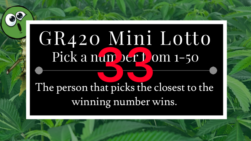 Untitled26_20240113163721