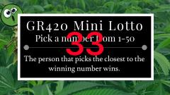 Untitled26_20240113163721