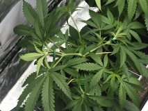 DECF2663-48F0-416E-9B77-927518E9A069