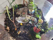 17052525531977213228586563593806