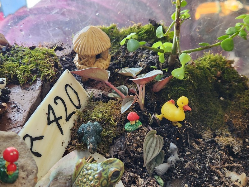 17052526179971968404284429019217