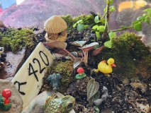 17052526179971968404284429019217