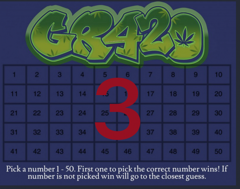 Untitled29_20240117154839