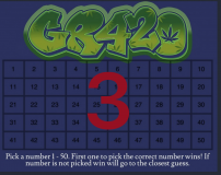 Untitled29_20240117154839