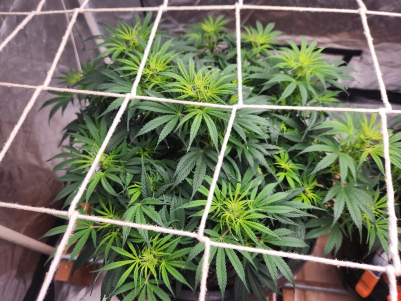 170654291728967773862711810620