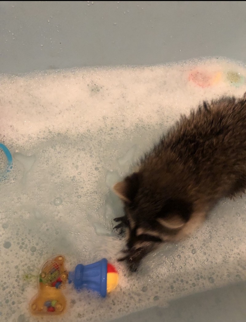 8CBD8AA9-CE10-4D51-B4C9-D11E478BFA6F