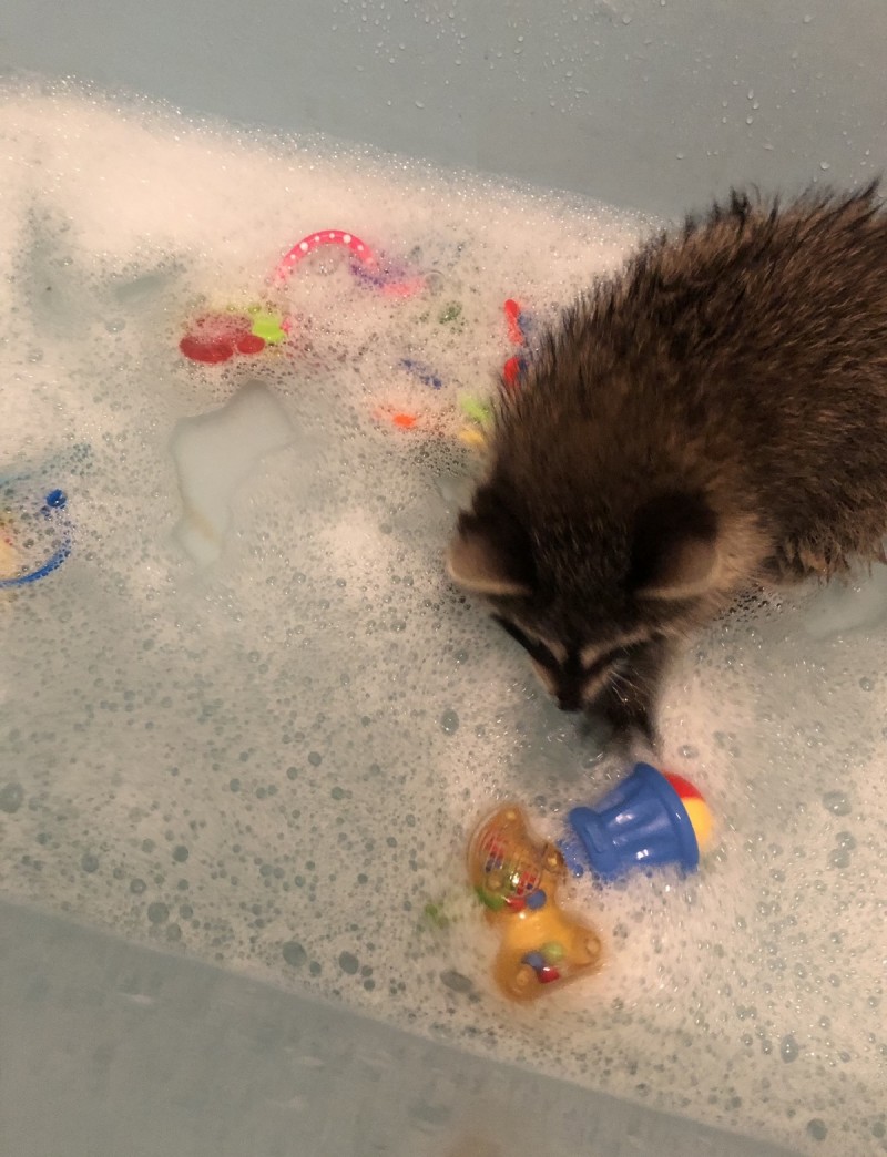 3F3FF407-ACF2-4172-90AC-A7ED41686602