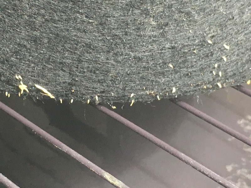 73FEF9A6-EAC5-4846-9FD3-5D7CB814DE94